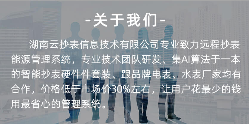 煙臺威思頓DTZ178能耗監測三相智能電能表