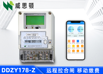 煙臺威思頓DDZY178-Z載波單相預付費電能表